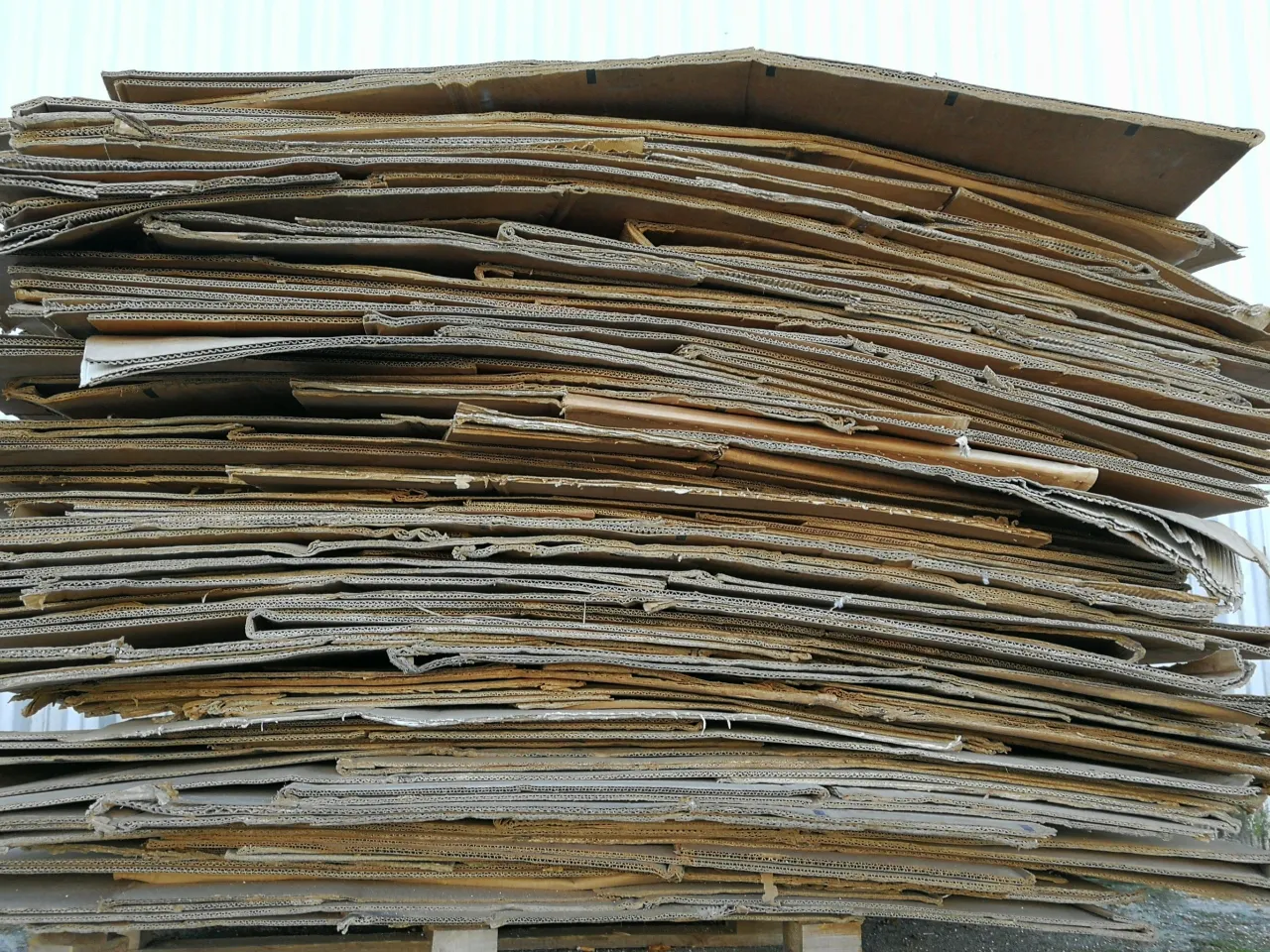 img 20181011 112810 scaled