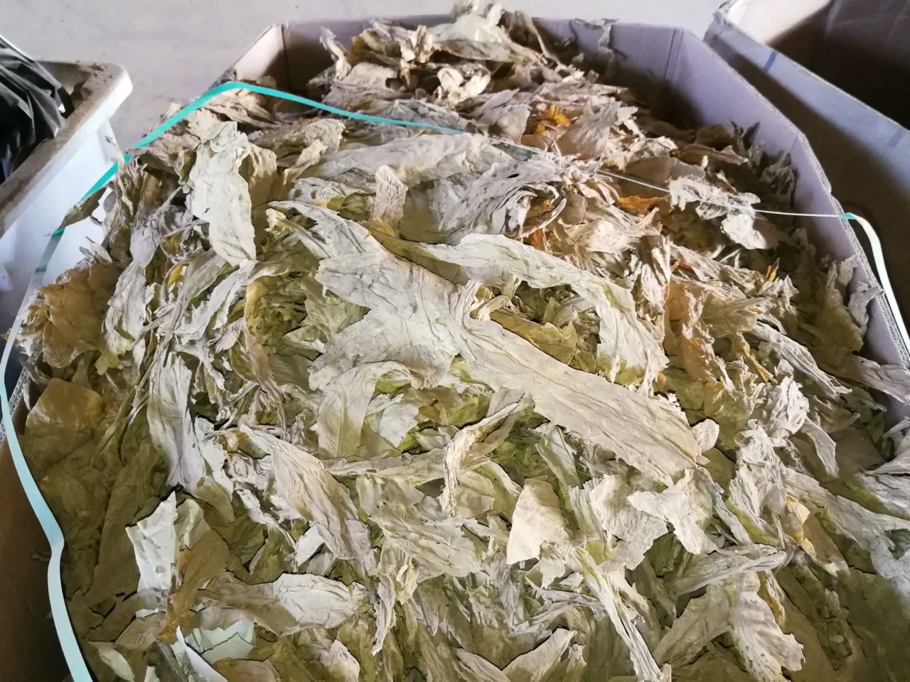 img 20181011 134909 scaled