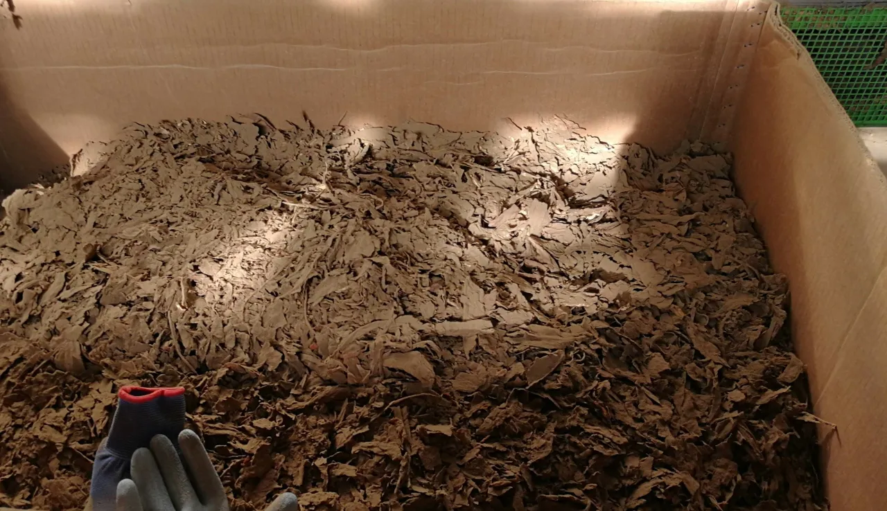 img 20181011 135023s scaled