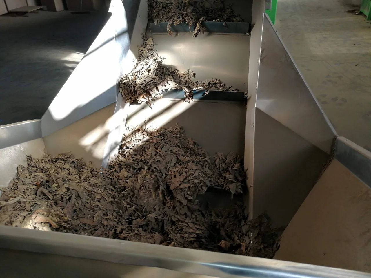 img 20181011 135043 scaled