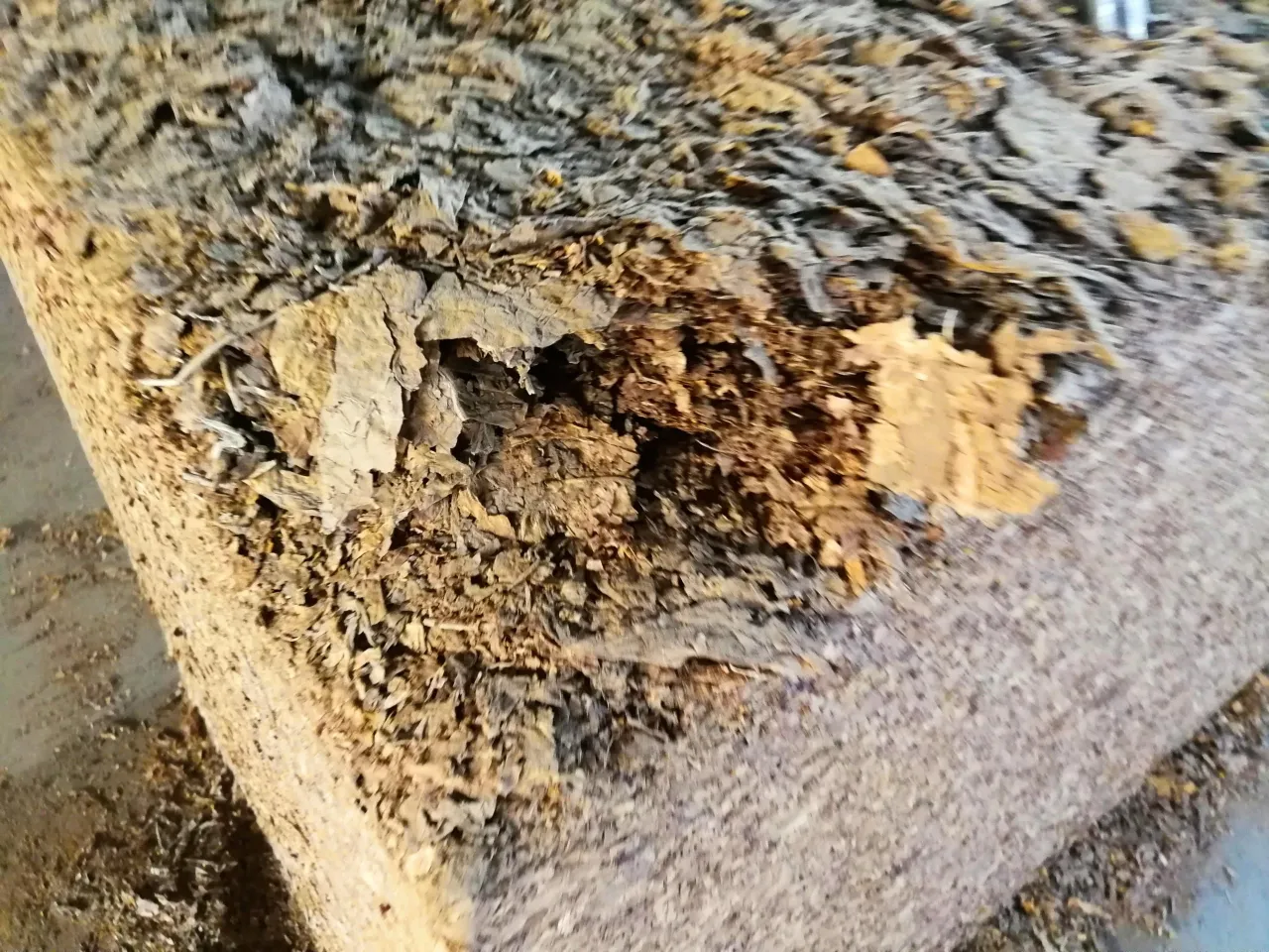 img 20181011 135156 scaled