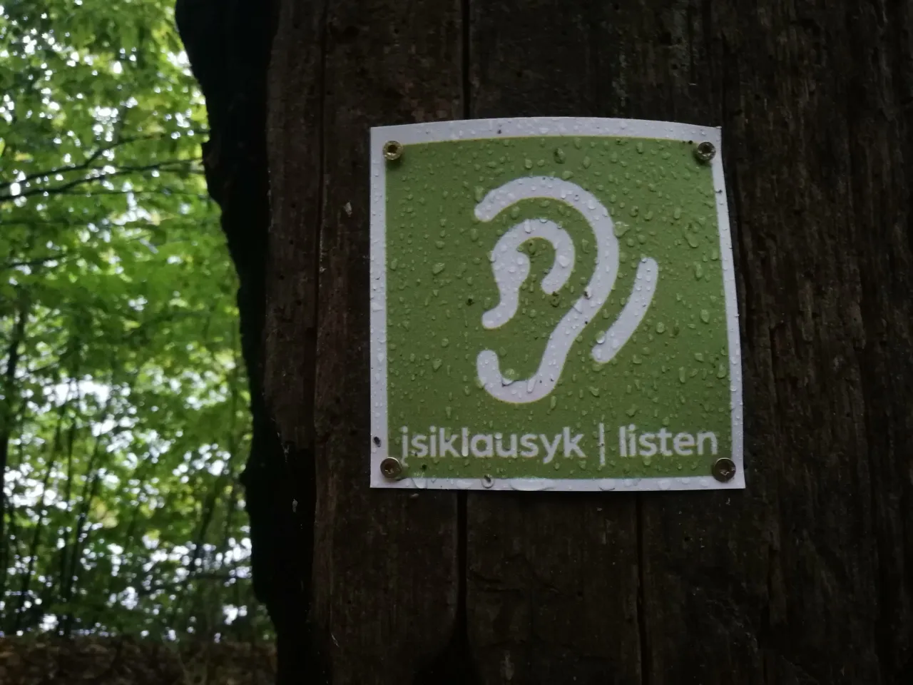 img 20190928 092406 scaled