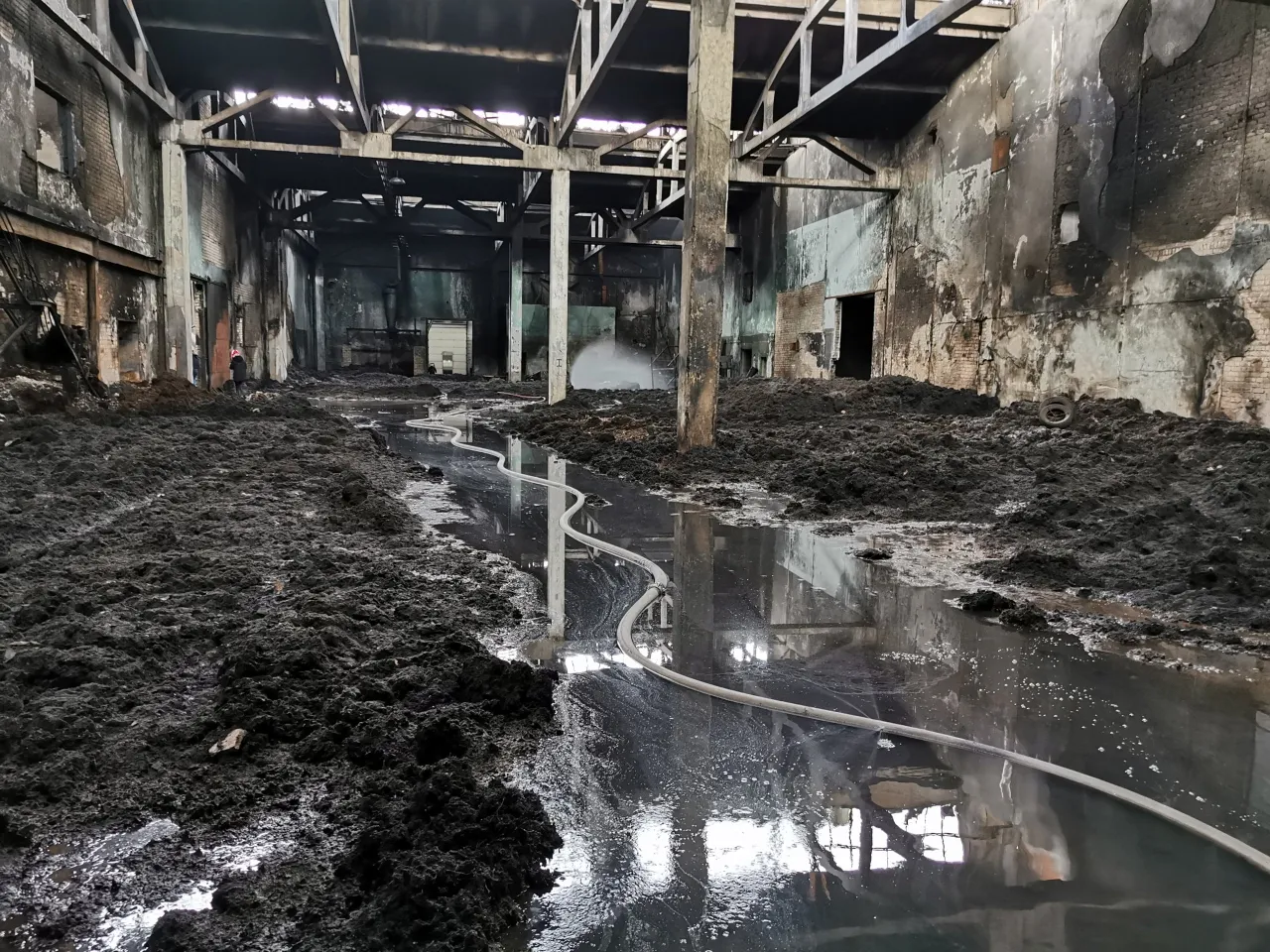 img 20191030 131024 scaled