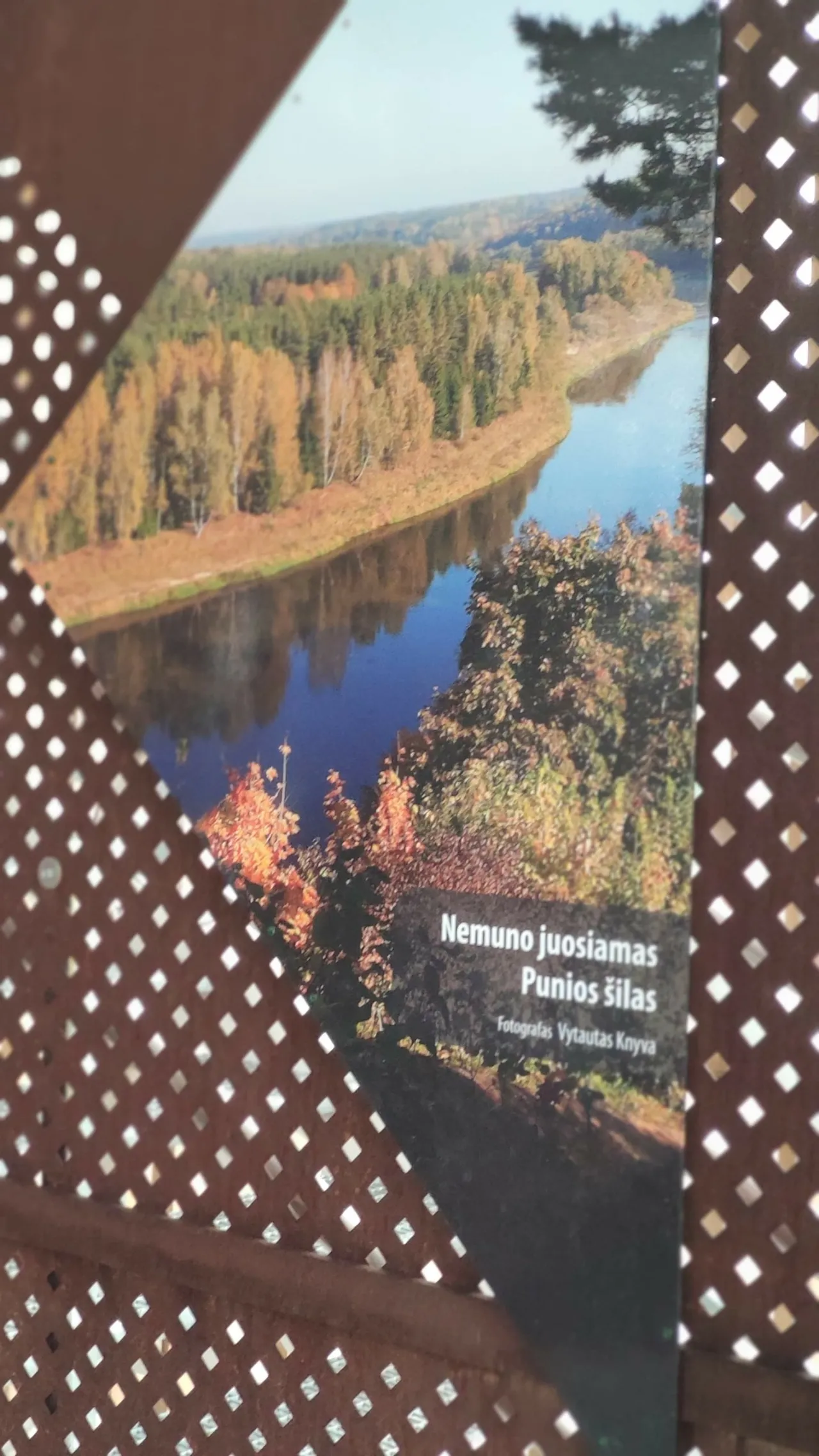 img 20200301 152959 scaled