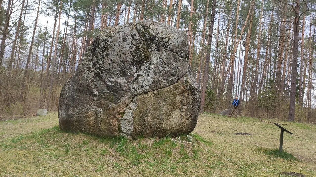 img 20200426 160032 scaled