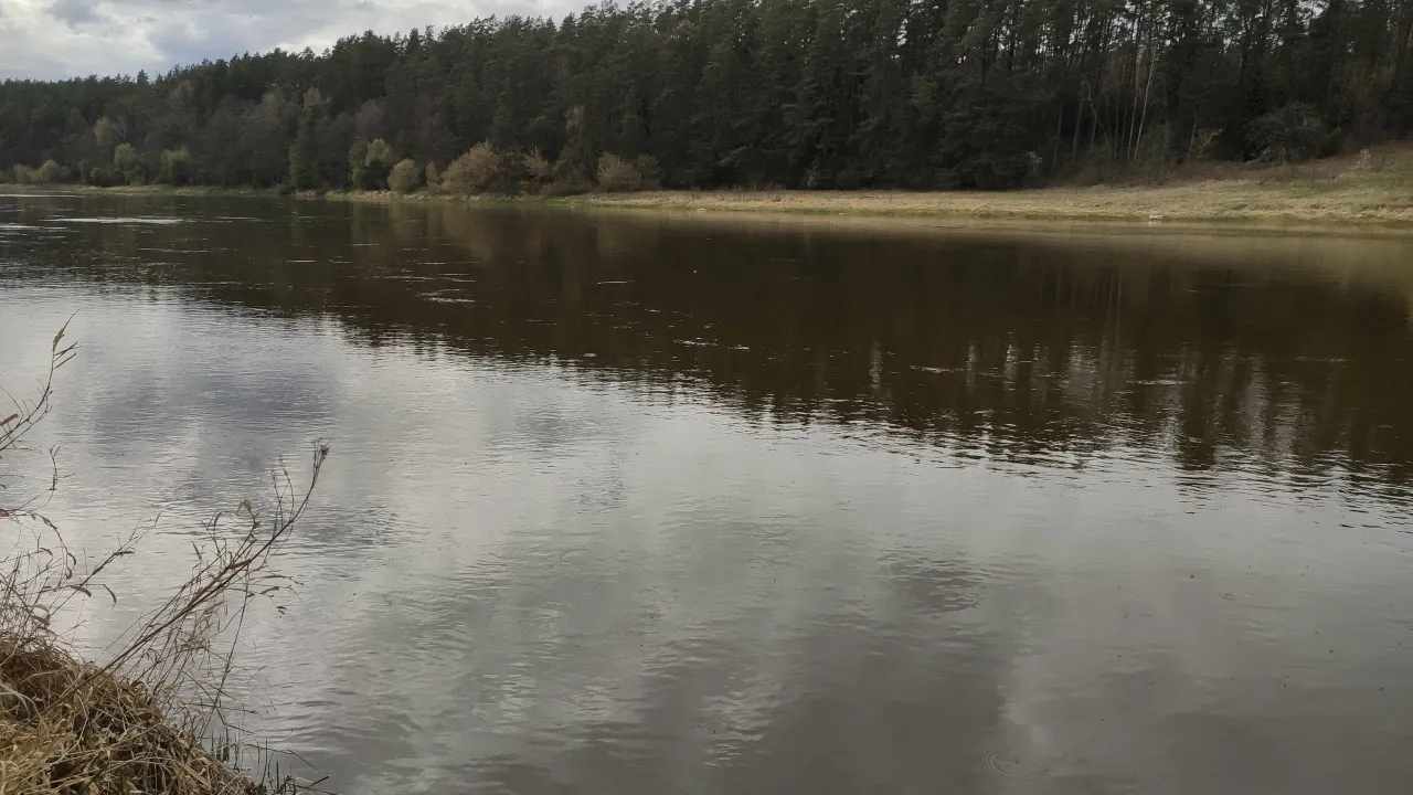 img 20200426 170929 scaled