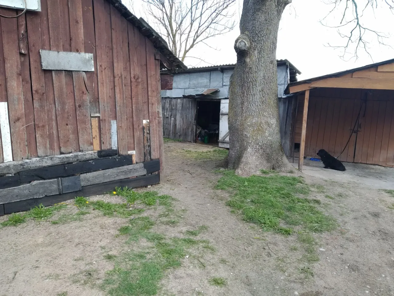 img 20210428 105231 jpg