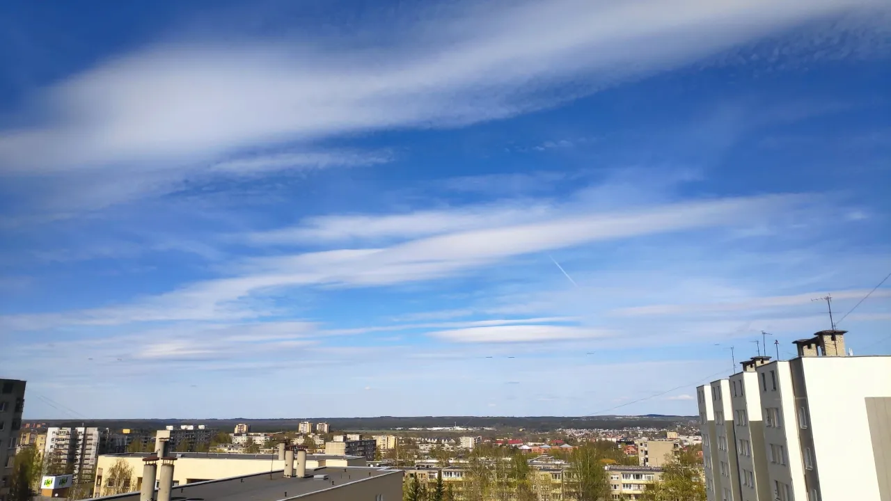 img 20210509 161226 scaled