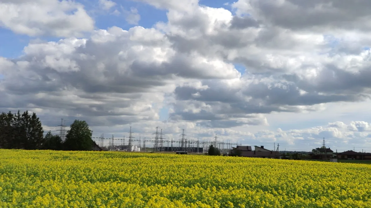 img 20210518 173957 scaled