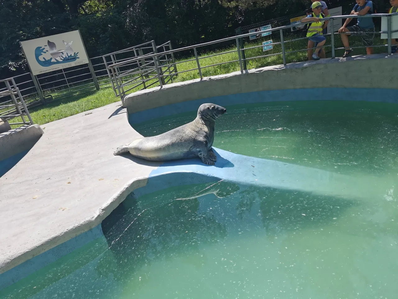 img 20210630 125126 scaled