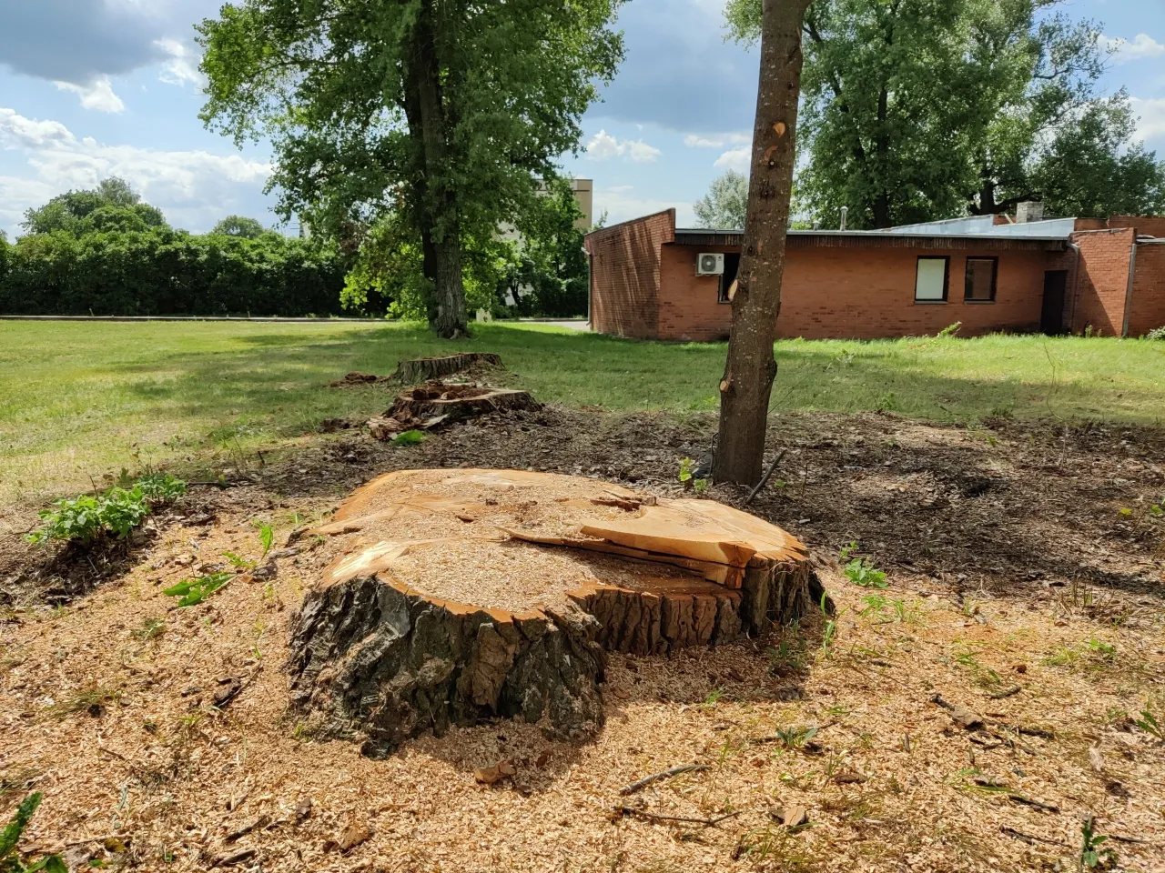 img 20210730 124525 scaled