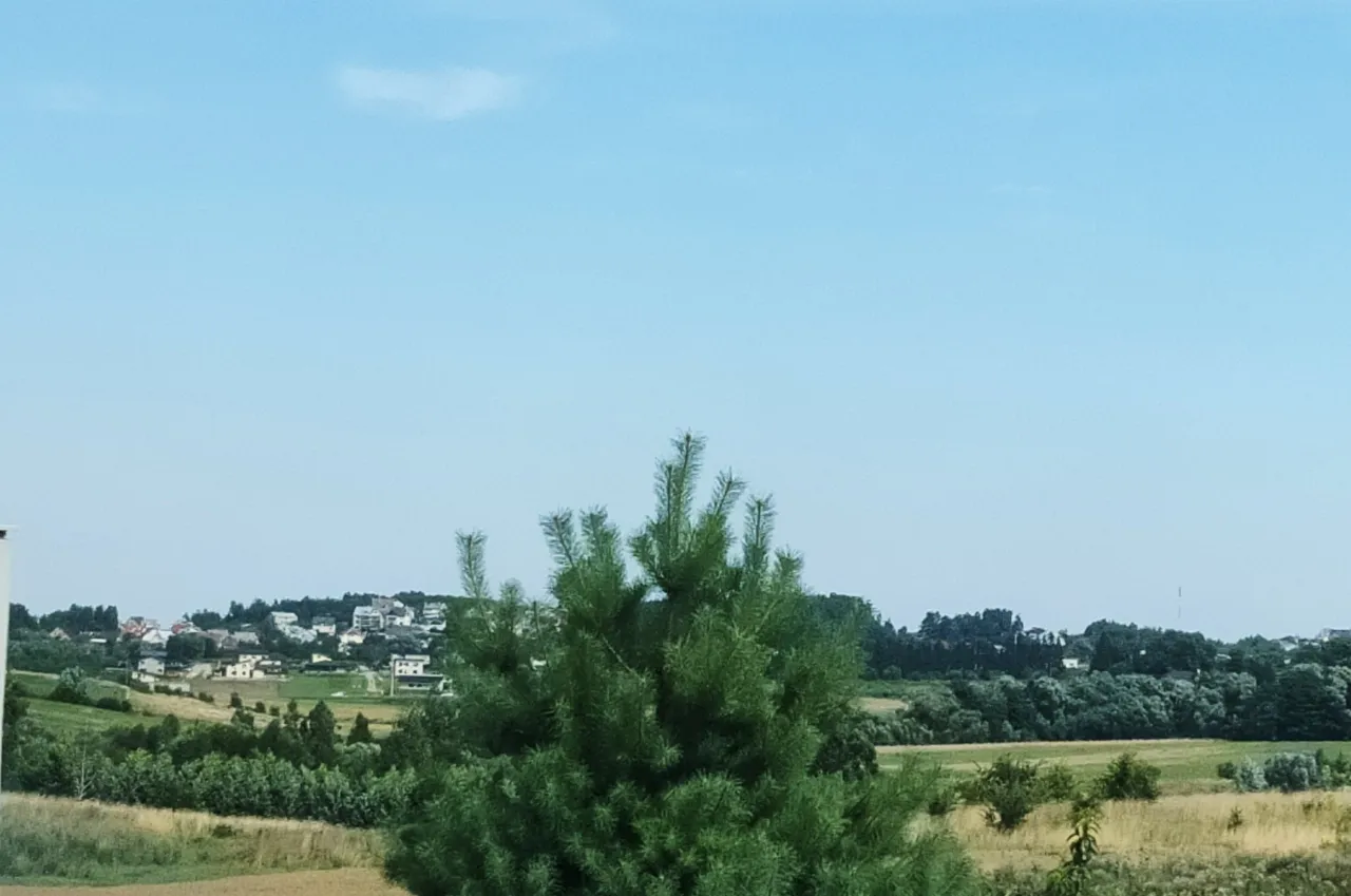 img 20210731 124932 01 scaled