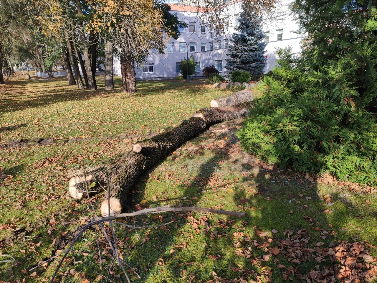 img 20211013 103754 scaled