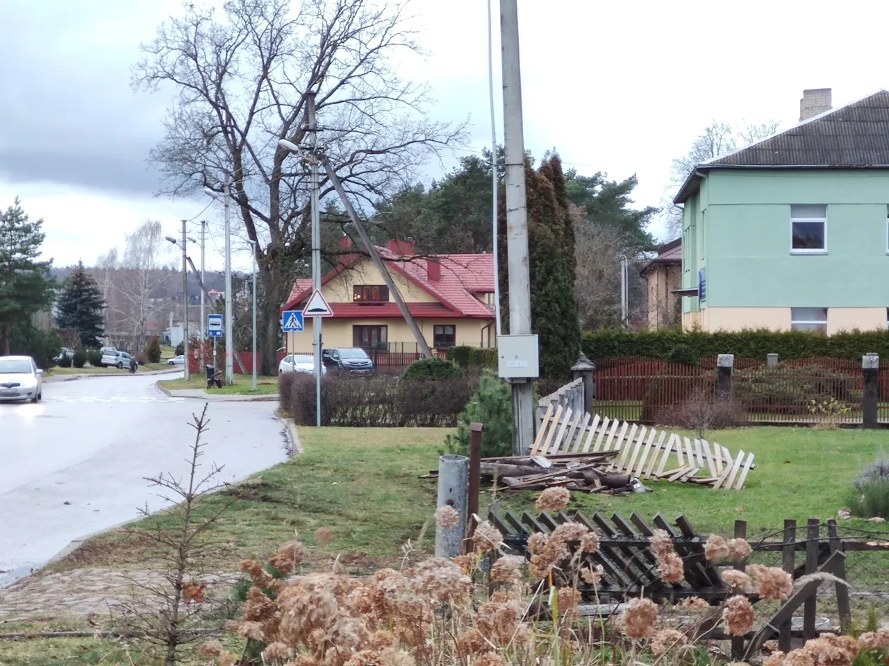 img 20211121 153737 scaled