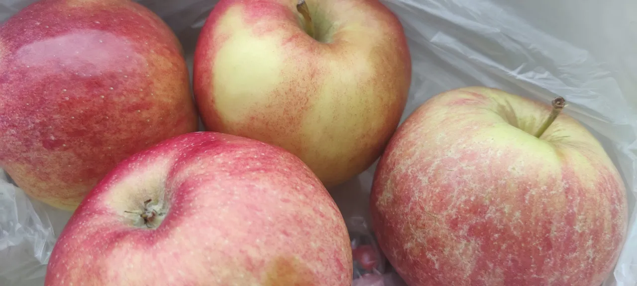 img 20220202 112843 scaled