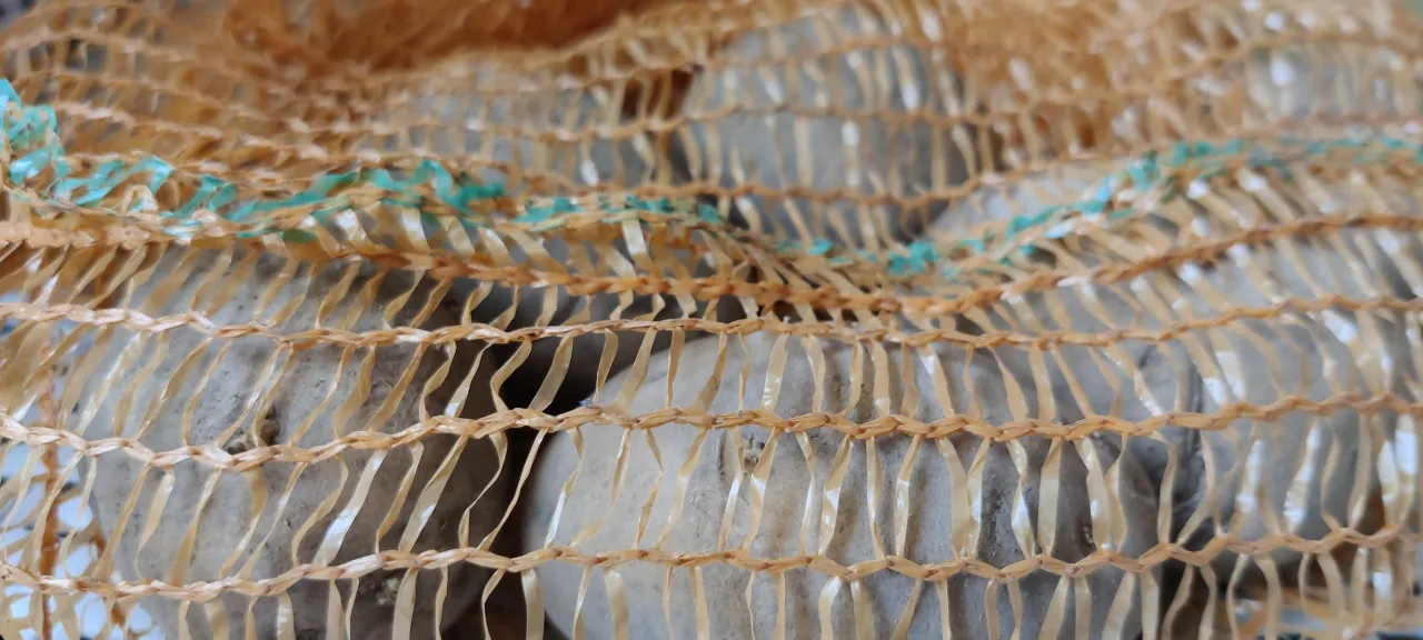 img 20220202 114444 scaled