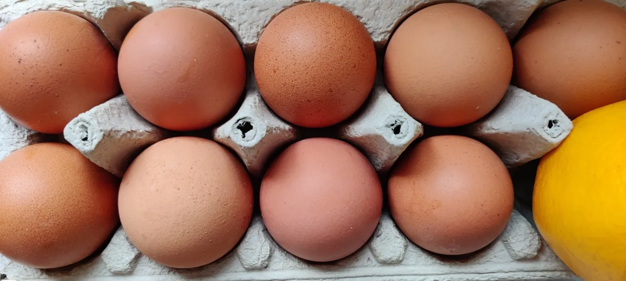 img 20220202 115225 scaled