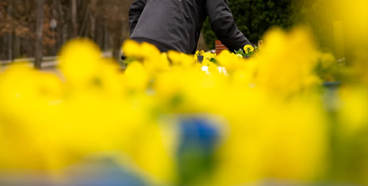 img 20220420 140451 scaled