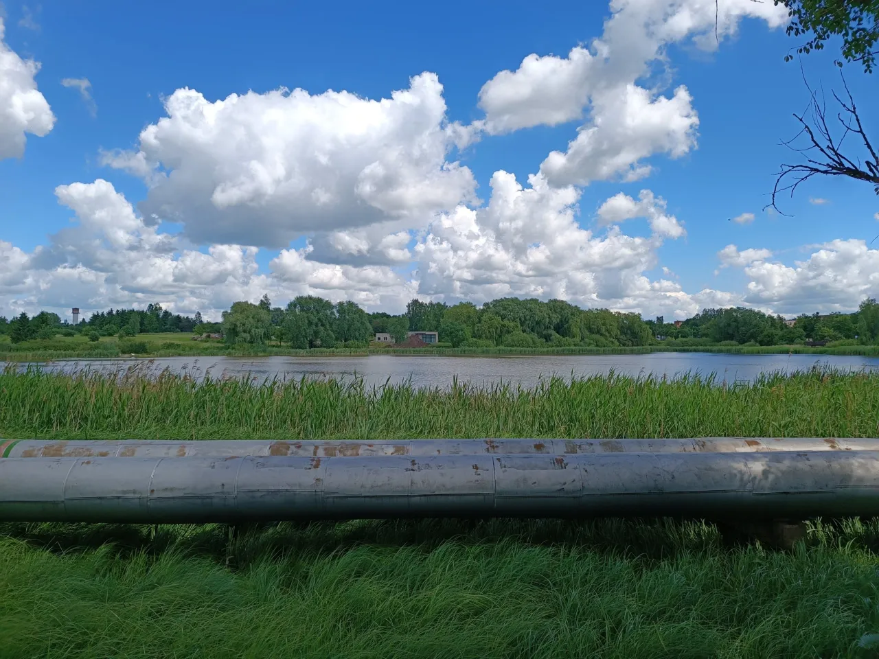 img 20220622 131632 scaled