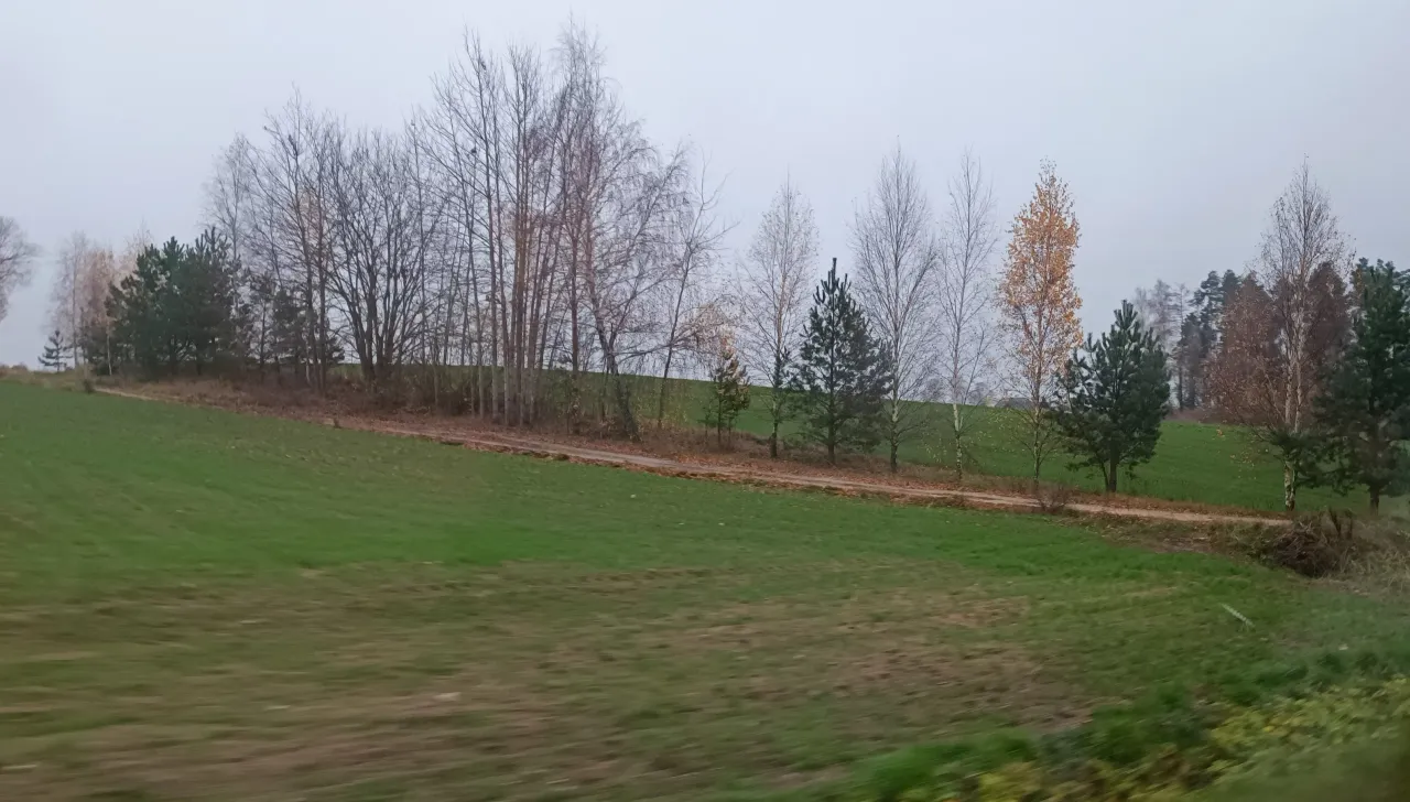 img 20221115 104741 scaled