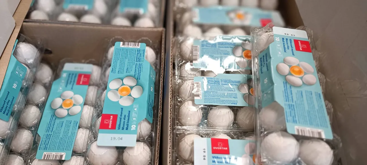 img 20230407 080416 scaled