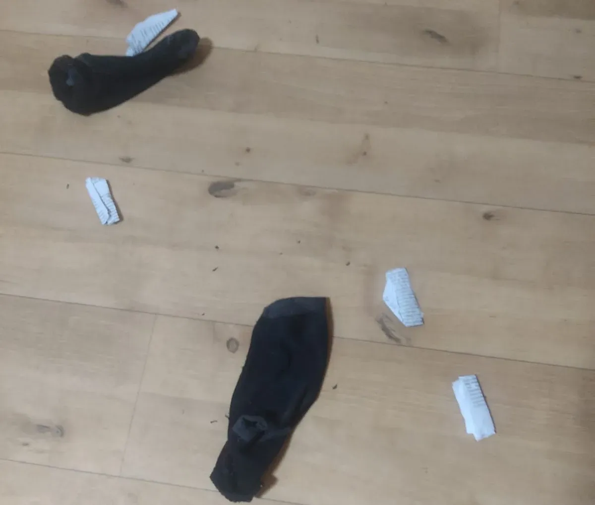 img 20230601 wa0006d jpg