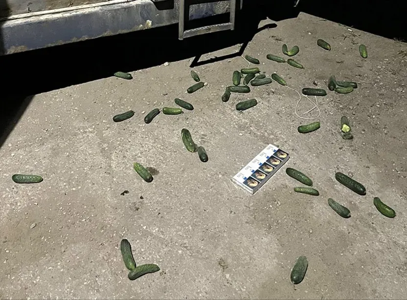 img 20230622 202524 jpg