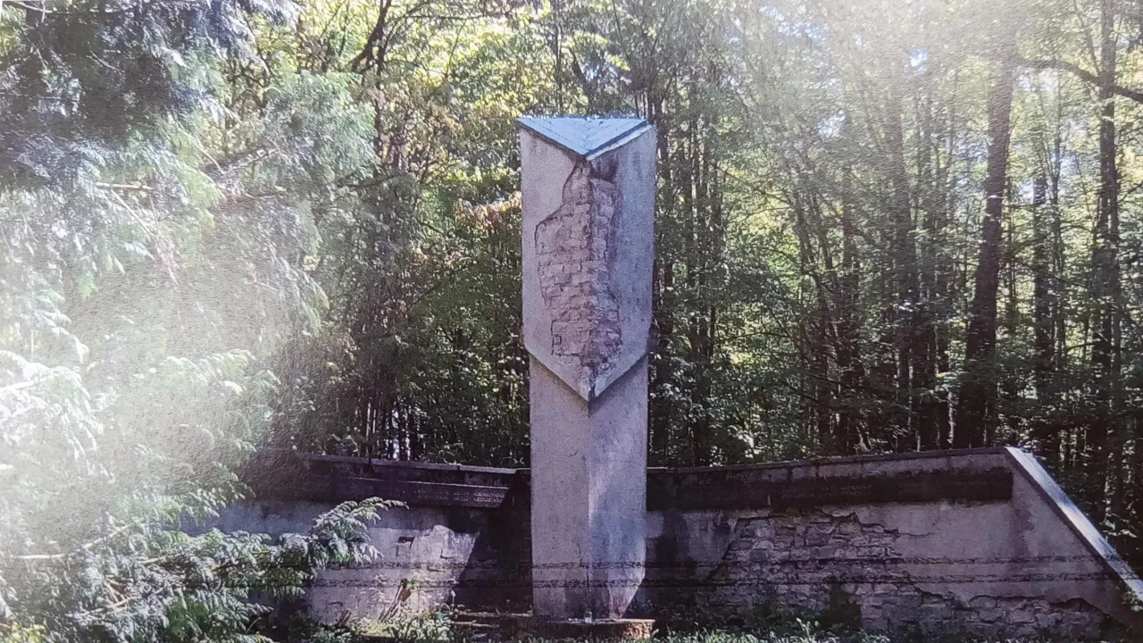 img 20230713 162108 scaled