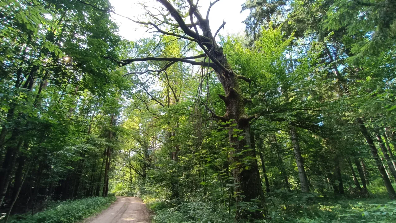 img 20230813 170435 scaled