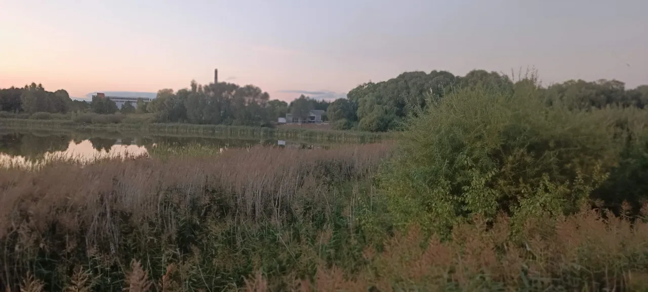 img 20230904 201903 scaled