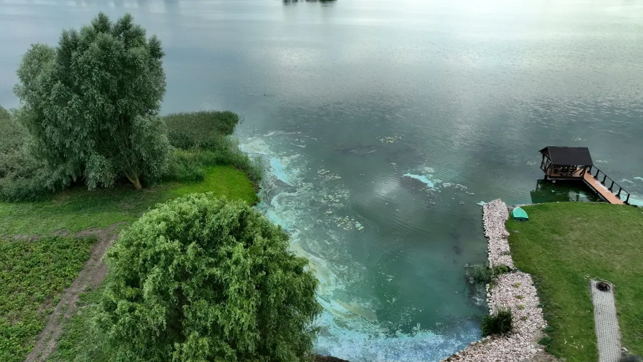 img 587700 05 30 26still005 jpg