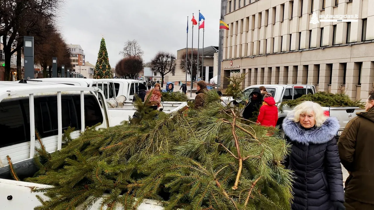 img 673600 01 13 56still009