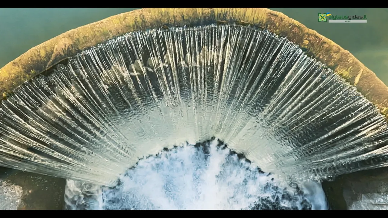 img 808200 00 10 52still002