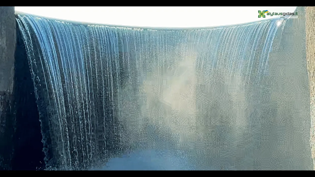 img 808200 00 45 46still005