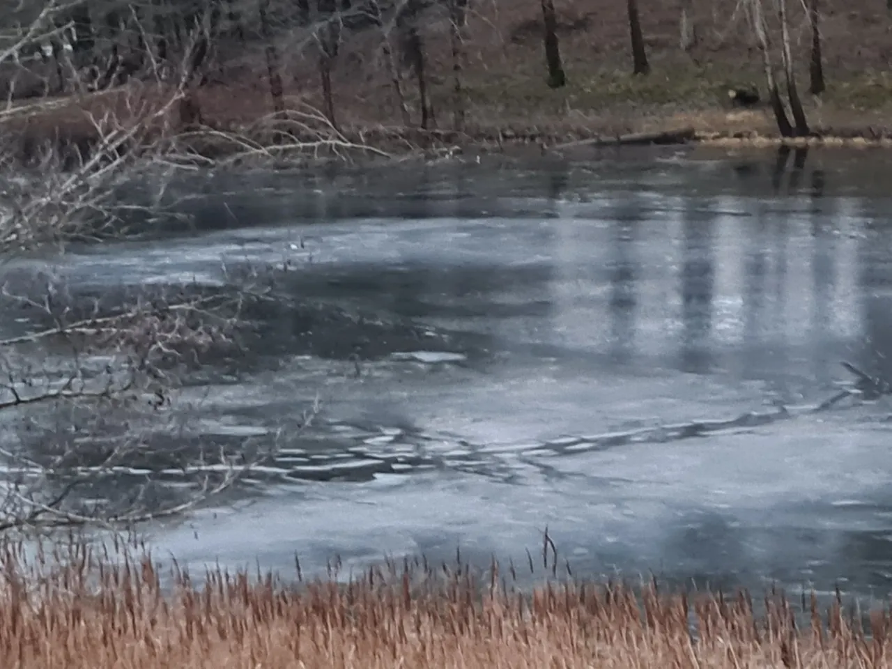 img 8882a8a678ce0b93904e4981ca5b1d80 v