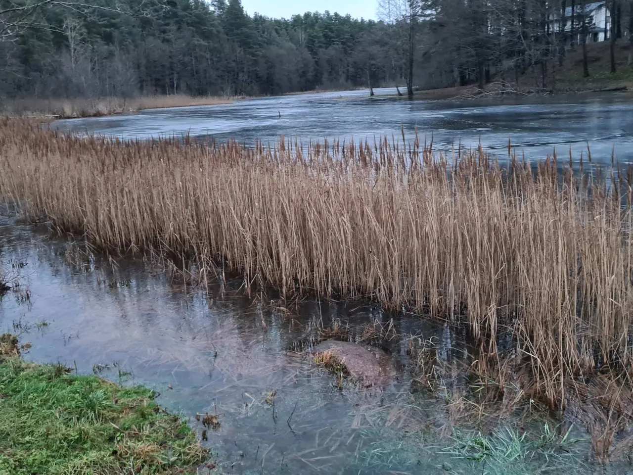 img c7565999e8457b2ba23cf22e6aafa0f7 v