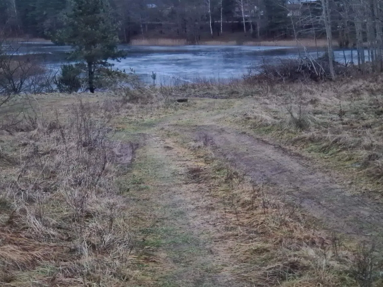 img f488cc9e1336bb0ddb0780d5ab72df37 v