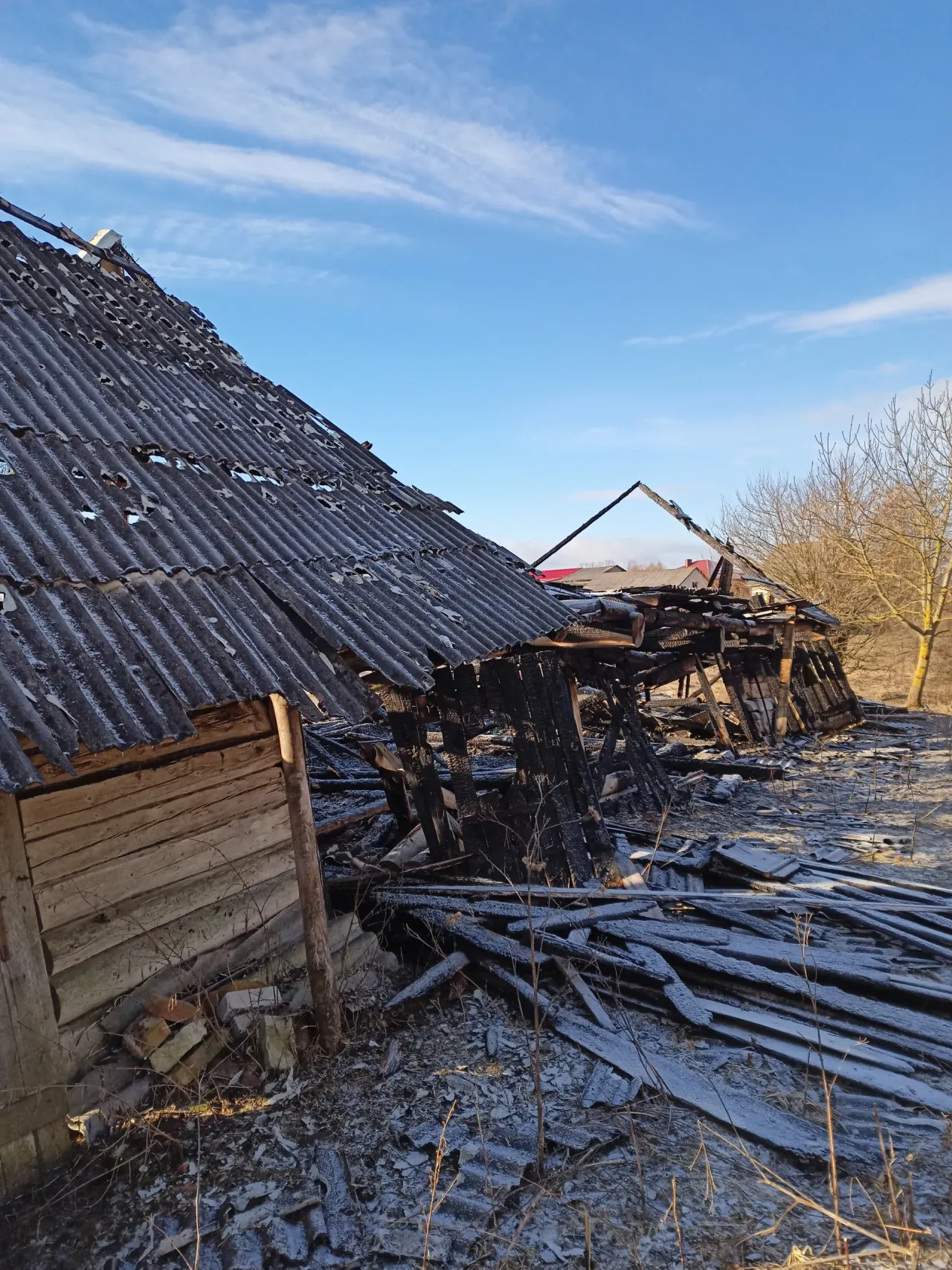 img20230306090904 scaled