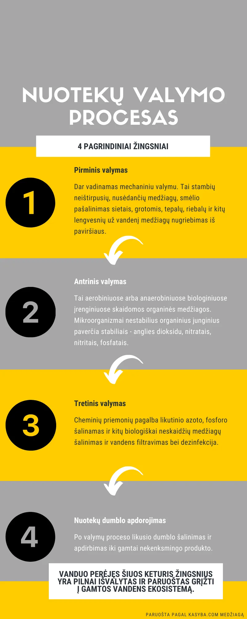 infografikas 1