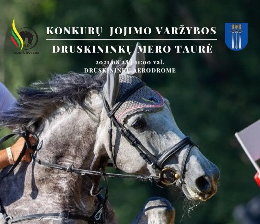 irgai mazas 1629118509