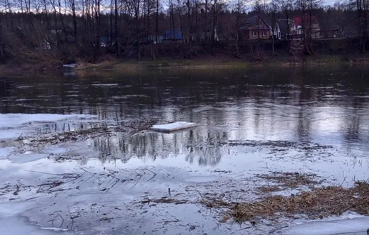 kantralytis20210312 190512 003 53534sss