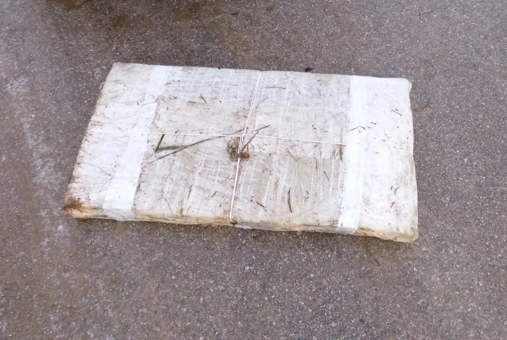 kantralytisp1050847 003 53536