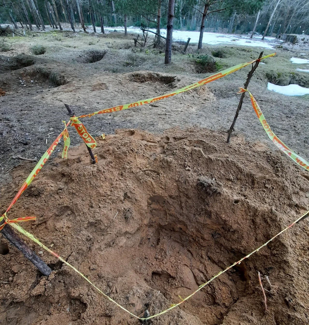 kauk20210325 105016 scaled