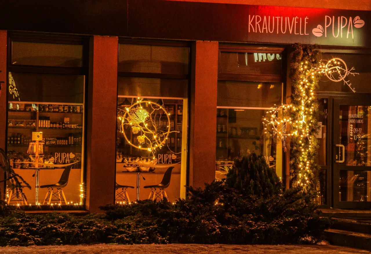 krautuvele pupa scaled