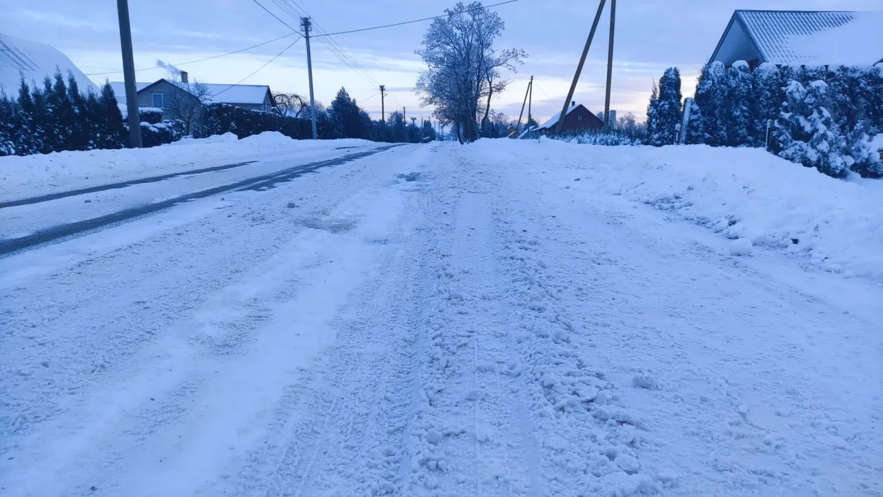 krokia320789420 565241902089902 4140544534981884838 n jpg