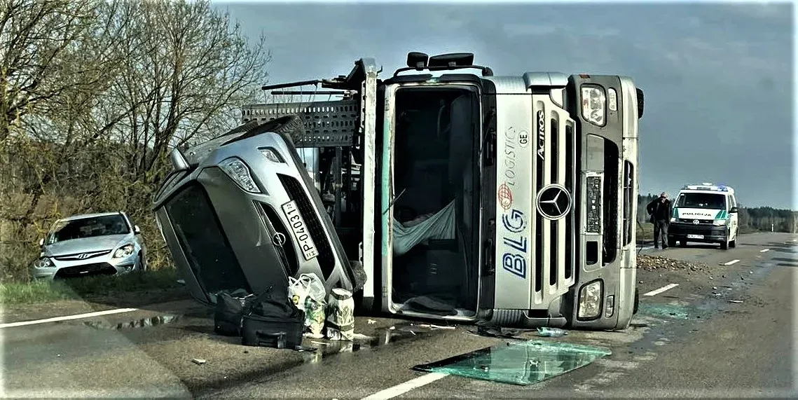 krti336638681 962057061818640 2397495864861735984 n jpg