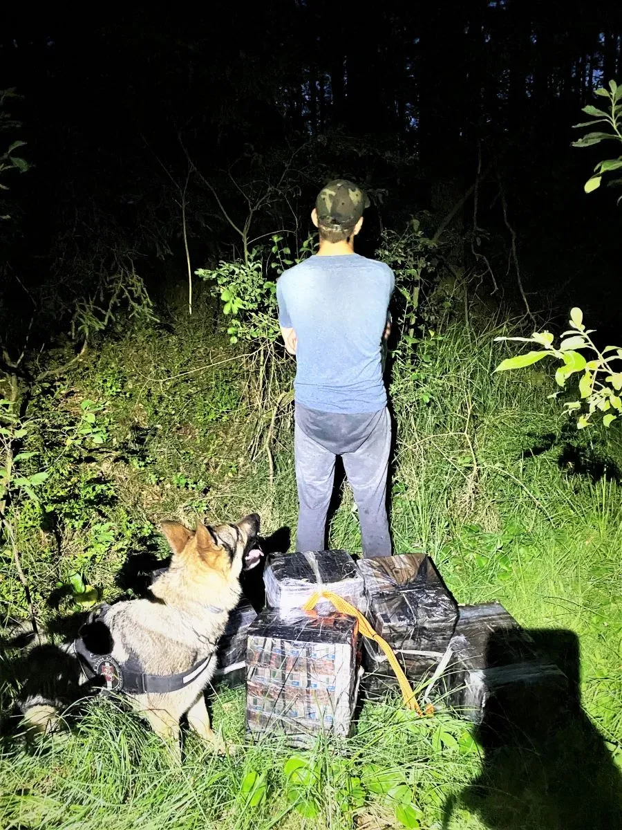 laz20230718 cig kapciam 4 jpg