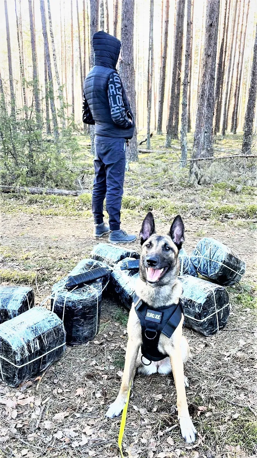 lazd20230330 cig kabel jpeg