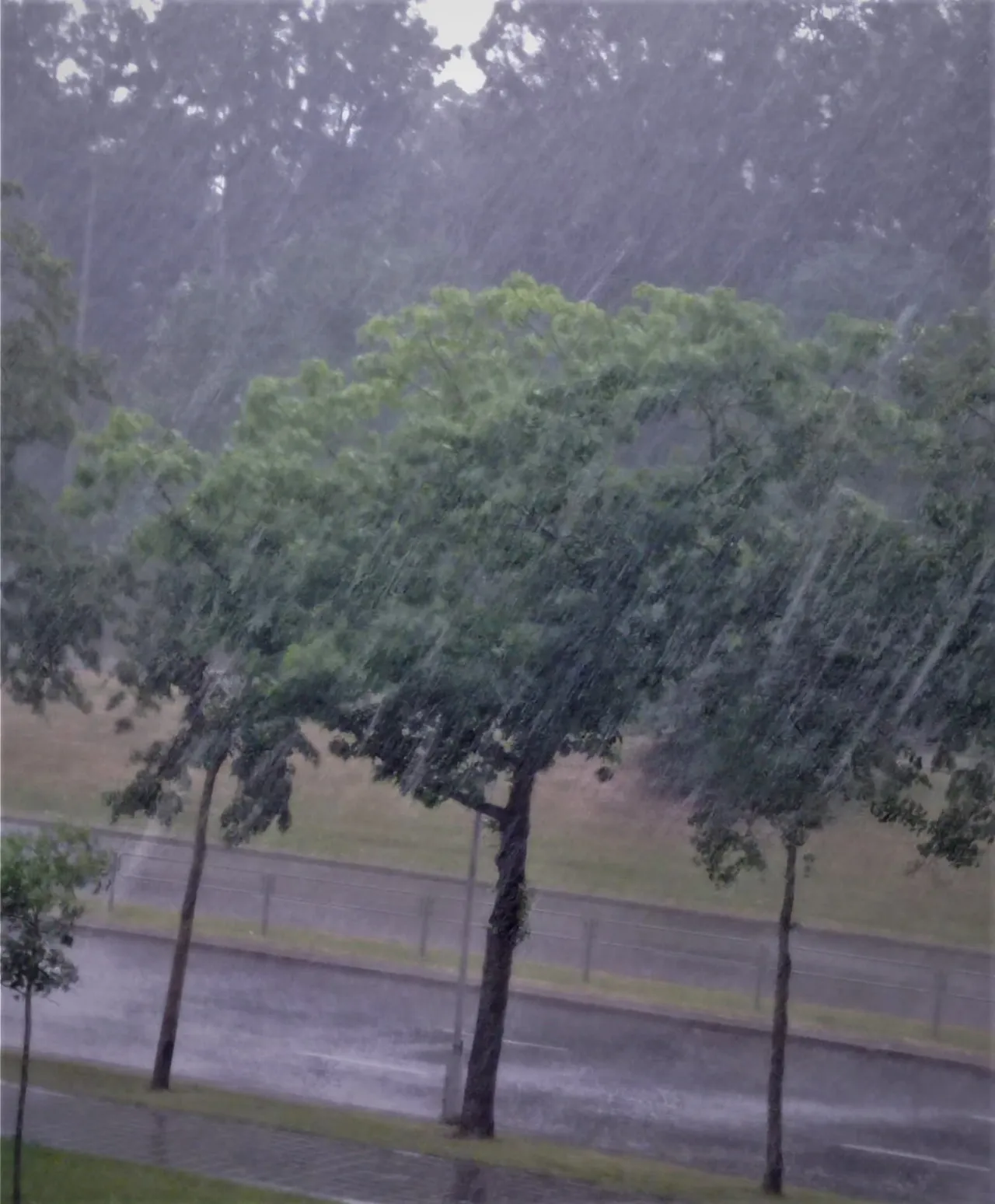 liet205376106 945775262840064 5695553914821453948 ns