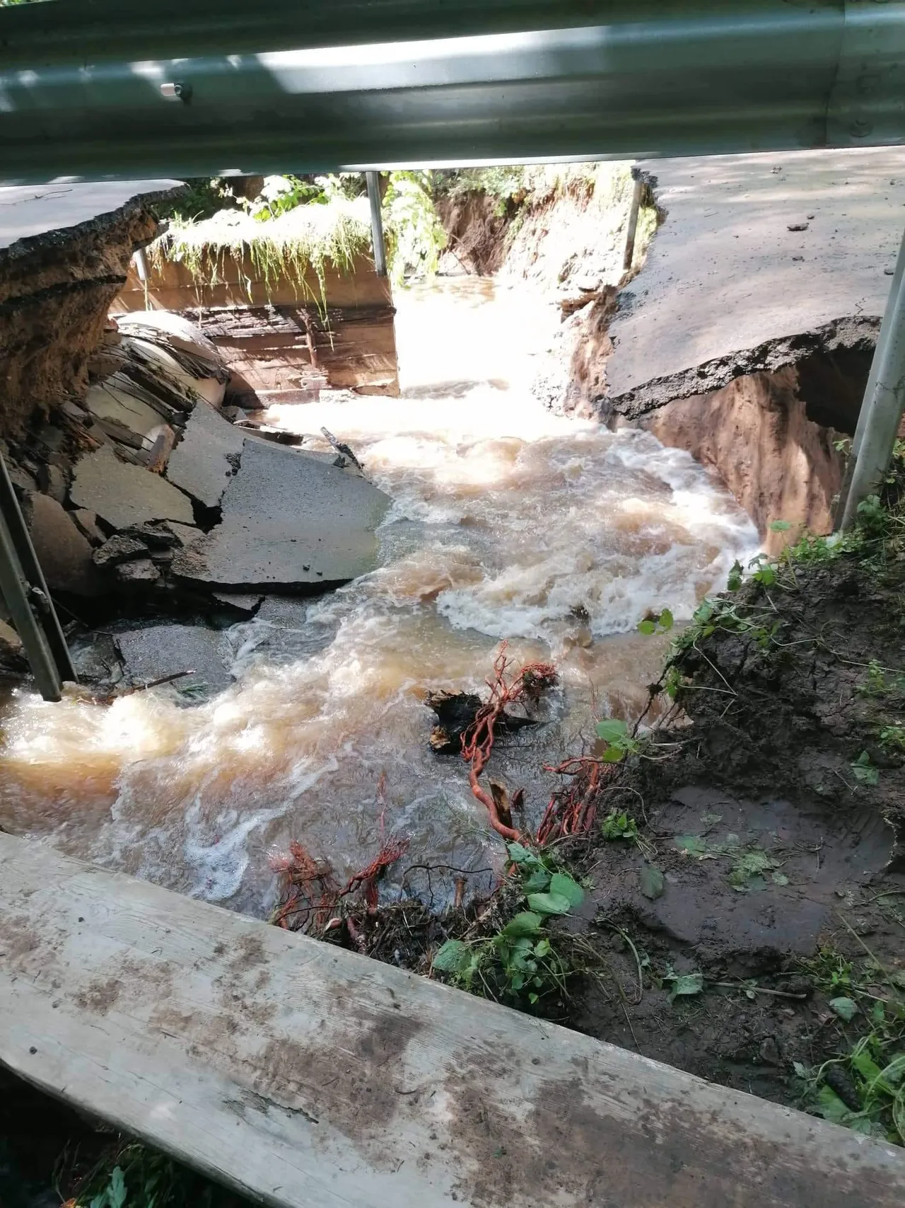 liut289576571 5561337430557001 6164843657111541981 n